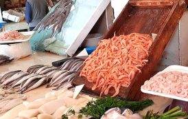 أسعار بيع الأسماك بالتقسيط في جهة الدار البيضاء-سطات
