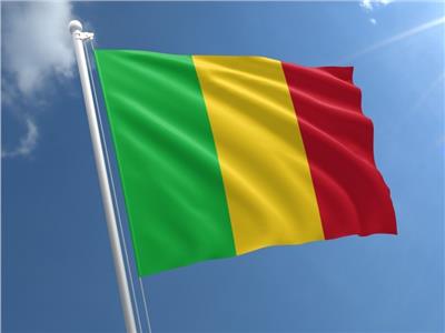 الهيئة التشريعية تعتمد قانونا للانتخاب في مالي