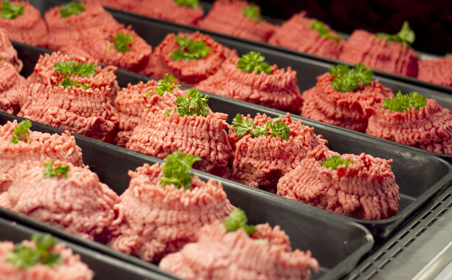 التوقيع على اتفاقية حول التكوين المهني في مجال إنتاج اللحوم الحمراء