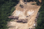 أبريل الماضي.. تدمير أشجار غابة الأمازون بما يعادل 140 ألف ملعب كرة قدم